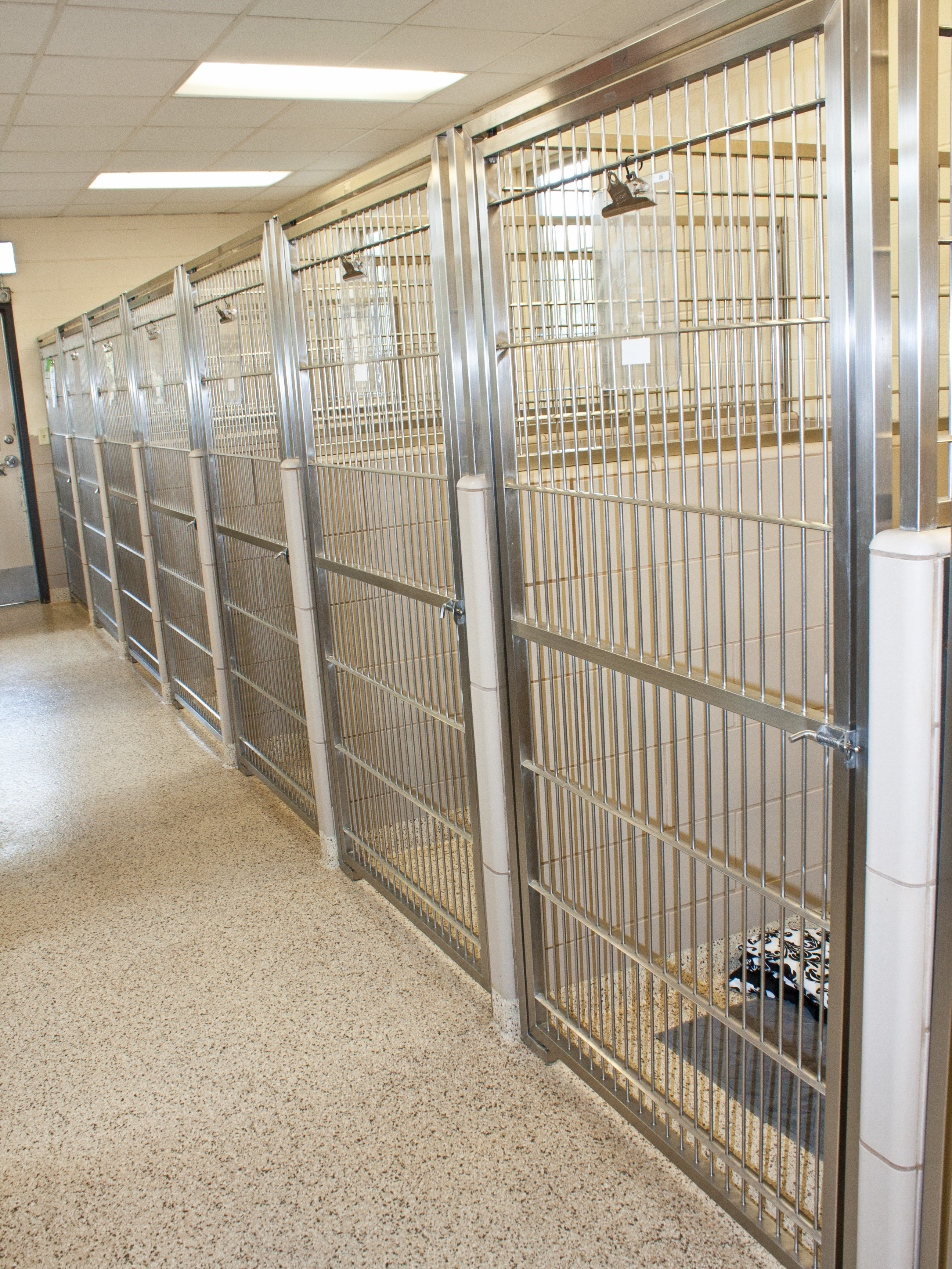 Kennel Runs Room